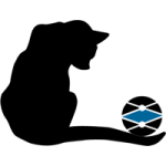 Black Friday plase cat