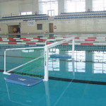 plasa polo