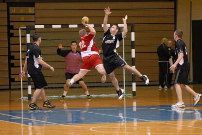 Plasă porţi handbal