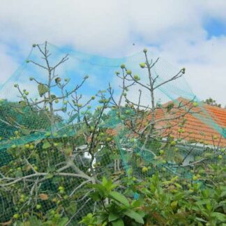 plase protectie pasari smochini