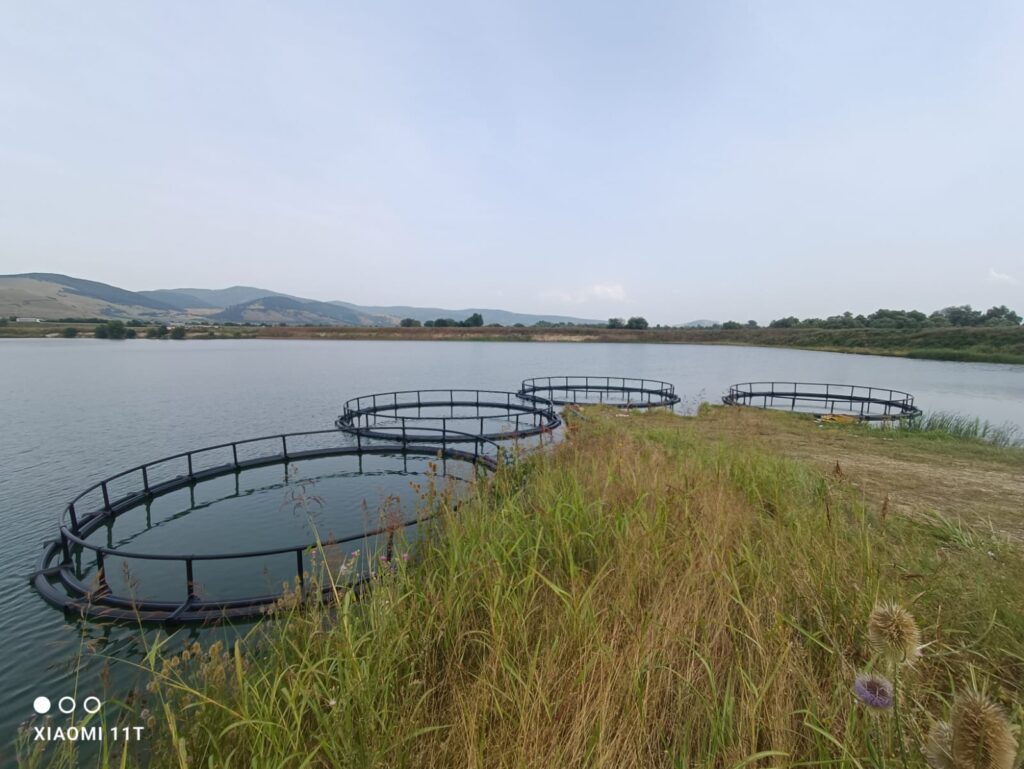 Cuști circulare plutitoare pentru pești pe un lac, lângă mal